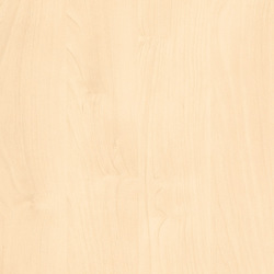 Holzdekor H1733 ST9 Mainau Birke